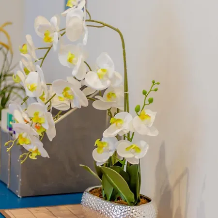 Sera's Place In My Lovely *